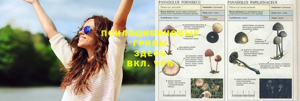 винт Алзамай