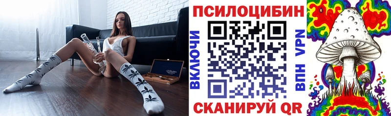 Псилоцибиновые грибы Psilocybine cubensis Беслан
